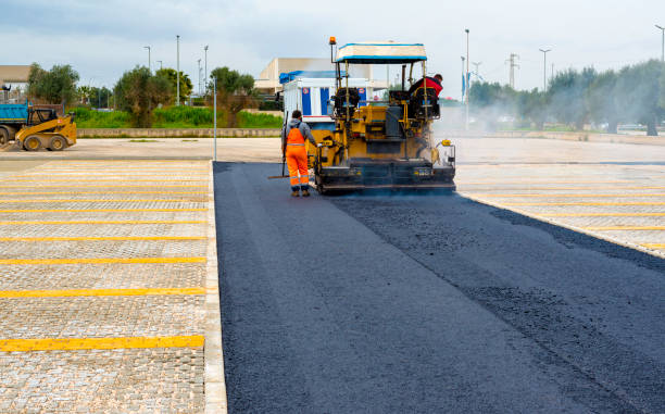 Best Local Driveway Pavers  in Rutherford, TN